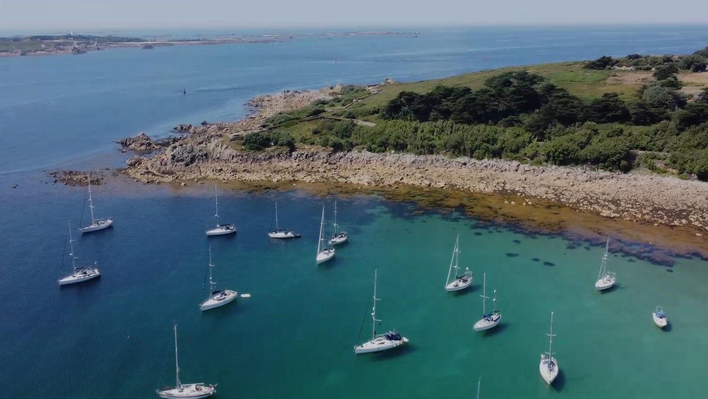 miniature scilly